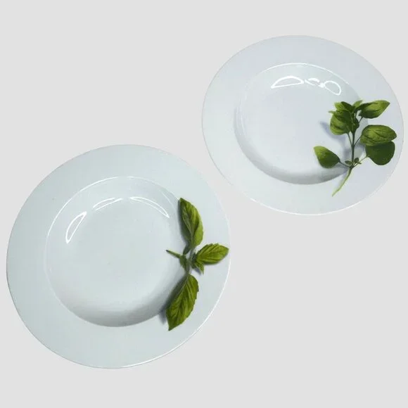 Crate & Barrel Herb Motif Porcelain Dinner Plates Set Of 2 - Picture 2 of 9